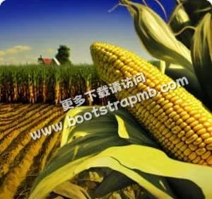 下载APP，畅享体育盛宴 - 咪咕体育